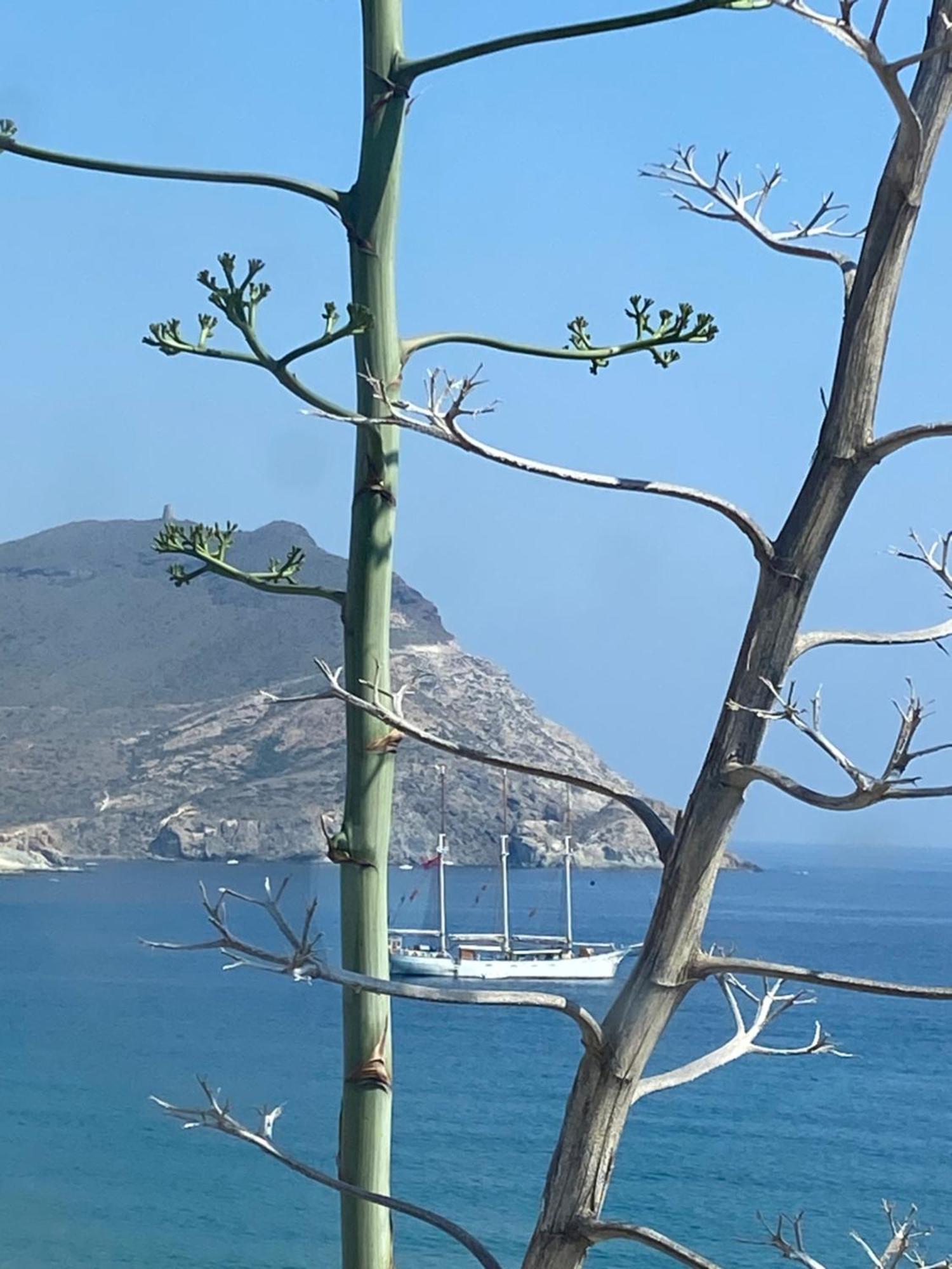 Вилла Casa Energia Del Cabo. San Jose Cabo De Gata. Экстерьер фото